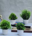 Litleo Set of 4 Mini Decorative Home Office or Gift Wild Artificial Plant...