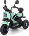 LITTLE RIDES Harley 6V Electric Kids Bike with Rechargeable 6.5 Ah Battery Bike Battery Operated Ride On (Green)...
