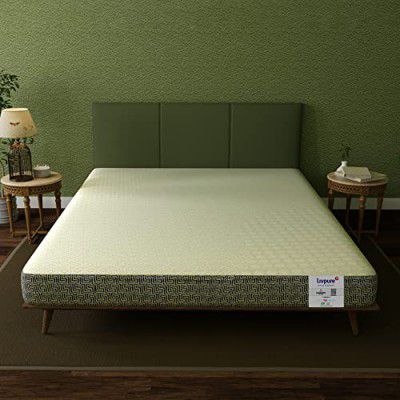 Livpure Smart Jeeva Natural Latex Foam Mattress | Plant Oil Based Foam with Citrus Frangrance | Ultra Soft | 8 Inch, Queen 78x60x8 (inches) with Removable Cotton Cover