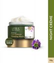 Lotus Botanicals Bio Retinol Youth Radiance Anti-Ageing Sleeping Mask  (50 g)...
