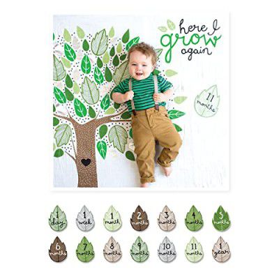 lulujo Baby First Year Milestone Blanket and Cards Set, Here I Grow Again