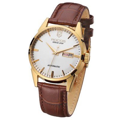 Luxury Automatic Men's Watch – Gold Case, RW0101 Pror
