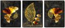 Lyrart Creation MDF Wooden Photo Black Frame for Home & Office Décor (size-12.7X17.78cm) Style-B33...