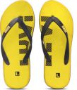 LYVI Slippers @ ₹99...