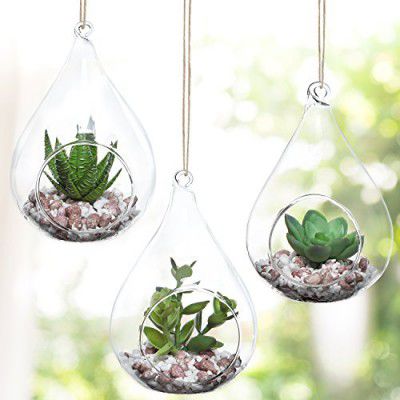 MAGICMOON Tear Drop Shape Glass Hanging Planter, Indoor Gardening Terrarium for Artificial Plants Rust Resistant - Transparent (6.5 Inch Tear Drop Shape Terrarium) (1)