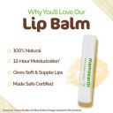 Mamaearth Nourishing 100% Natural Lip Balm with Vitamin E and Shea Butter - 4 g...