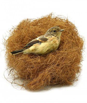 Manually Extracted Natural Coir Fiber Nesting Material for Birds for Making Bedding & Litter