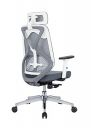 MBTC Revive Ergonomic High Back Office Chair with Adjustable Seat Depth Slide, Arms, Lumbar Support, Headrest, Grey & White...