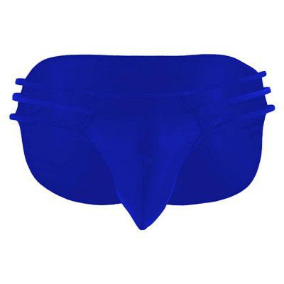 Mens Soft Low Rise Full Coverage Back Briefs Underwear Sexy hot Free Size Blue Color