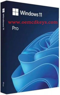 Microsoft Windows 11 Pro Genuine Lifetime Retail License Key (Digital Delivery via email in 2 to 24 hrs)
