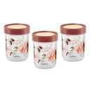 MILTON Nova Plastic Container 750, Set of 3, 733 ml Each...