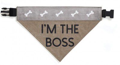 Mona B Canvas Dogs Life Bandana For Dogs, Multicolor, Medium/Large