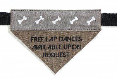Mona B Canvas Lap Dog Bandana For Dogs, Multicolor, Small/Medium