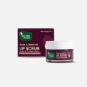 Mother Sparsh Rose & Beetroot Lip Lightening Scrub | Heals Dry Chapped With Rose & Coffee Beans- 12gm...