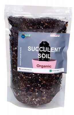 Mothers feed Organic Succulent Soil Mix 1kg | Cinder Based Potting Soil