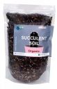 Mothers feed Organic Succulent Soil Mix 1kg | Cinder Based Potting Soil...
