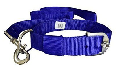 MUNCHOS Nylon Leash with Collar Set for Dogs Large (1.25-inch)