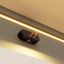 Murphy 6W 3-in-1 Color Changing Black Rose Gold Finish LED Mirror Picture Wall Light -Pack of 1...