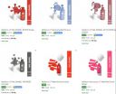 Myglamm Nail Polish Starts ₹44 | Upto 76% Off...