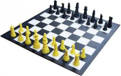Myhoodwink Chess Set with Board for Kids & Adults Educational Board Game, 6+ Years 35 cm Chess Board  (Black, White)