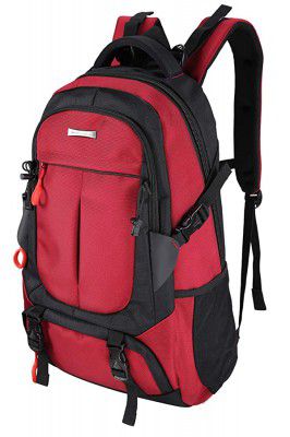 Nasher Miles Vigo Laptop Backpack 34 L