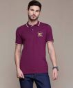 NAUTICA Men Solid Polo Neck Pure Cotton Brown T-Shirt...