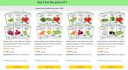 Navika Vegetable Seeds: 81% Off + Buy 1 Get 1 Free...
