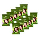 Neeta Pure Henna Powder for Hair with 9 Natural Herbs 15g (Pack of 10)...