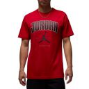 Nike Men's Polyester Regular Fit T-Shirt...