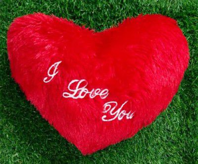Niku Heart Shape Cushion Pillow Valentine Gift for Girlfriend Boyfriend Couples Husband and Wife Valentine's Day Love Valentine Gift Item (12"X12")