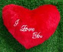 Niku Heart Shape Cushion Pillow Valentine Gift for Girlfriend Boyfriend Couples Husband and Wife Valentine's Day Love Valentine Gift Item (12"X12")...