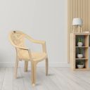 Nilkamal CHR2005 Plastic Mid Back with Arm Chair Set of 2...