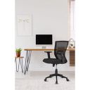 Nilkamal Hexon Mesh with Adjustable Arm Chair (Black) (Mid Back)...