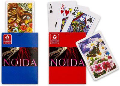 Noida Plastic Playing Cards, Bridge Size, 2 Decks of Cards  (Multicolor)