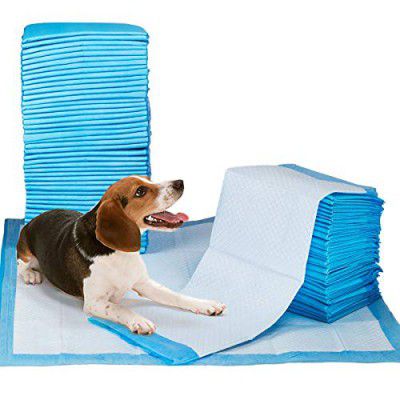 Nootie Training Pads, Super Absorbent, Water Proof, Non Slippery, Small, 25 Count with 60X45cm