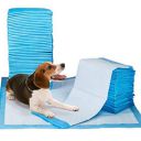 Nootie Training Pads, Super Absorbent, Water Proof, Non Slippery, Small, 25 Count with 60X45cm...