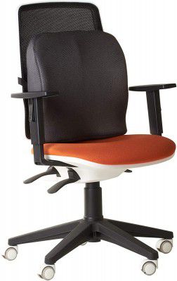 OBLIQ Memory Foam Chair Cushion for Back Pain Relief Orthopedic Lumbar Support Backrest Pillow for Office Chairs & Cars (Black, pack of 1)
