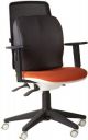 OBLIQ Memory Foam Chair Cushion for Back Pain Relief Orthopedic Lumbar Support Backrest Pillow for Office Chairs & Cars (Black, pack of 1)...