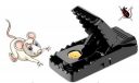 Oblivion Reusable Plastic Portable Mouse Trap Snap Quick Kill Mice Rodent Rat Killer Catcher Effective Sensitive Reusable Durable and Sanitary Traps, Household Catch Rats Mice Mouse (Black, pack of 1)...