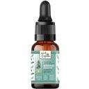 Organic Rosemary Essential Oil for Hair Growth, Hair Fall Control and Nourishment, Skin Care | 100% Pure, Natural | 15 ML...