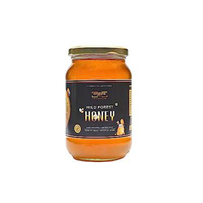 Orgure Pure Honey | Raw | Unprocessed | Natural | Anti-Bacterial | Anti-Fungal | Immunity Booster | Antioxidant | Wild Forest Honey from Assam | 1400Gm