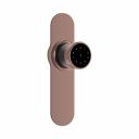 Ozone OZ-FDL-11-P-Life Antique Bronze Smart Lock with Google Assistant & Alexa Enabled (Without Wi-Fi Gateway)...