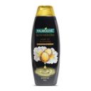 Palmolive Luminous Oil Shampoo with Essential Argan Oil & Camelia extracts (Nourish & Protect Hair) - 350ml...