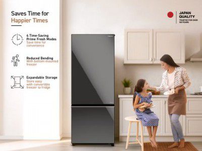 Panasonic 401 L Frost Free Double Door 2 Star Refrigerator (Black, NR-BK465BQKN)