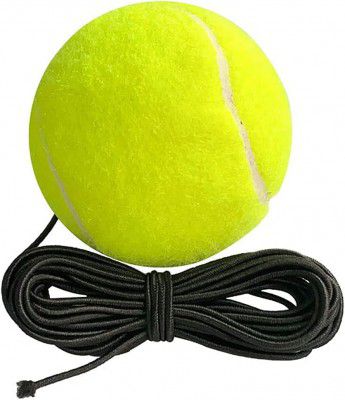 PANVRI Indoor?Outdoor Cricket Practice Hanging Ball with Rope for Kids