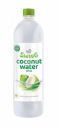 Paper Boat Swing Coconut Water Drink - 1200ml...