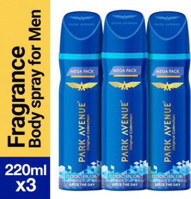 PARK AVENUE Original Collection Cool Blue Deodorant Spray - For Men  (660 ml, Pack of 3)