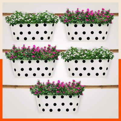Patio by Bathla - ARA Hanging Metal Pot Holders/Planters for Balcony/Garden |Corrosion Resistant with Detachable Double Hooks | White -Set of 5