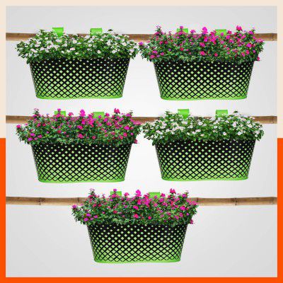 Patio by Bathla - Dia Hanging Metal Pot Holders/Planters for Balcony/Garden |Corrosion Resistant with Detachable Double Hooks |Grass - Set of 5, Standard (PHP-OD-175D275GS-S5)
