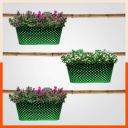 Patio by Bathla - Dia Oval Diamond Hanging Metal Pot Holders / Planters for Home / Balcony / Garden |Corrosion Resistant with Detachable Double Hooks |Green - Set of 3...